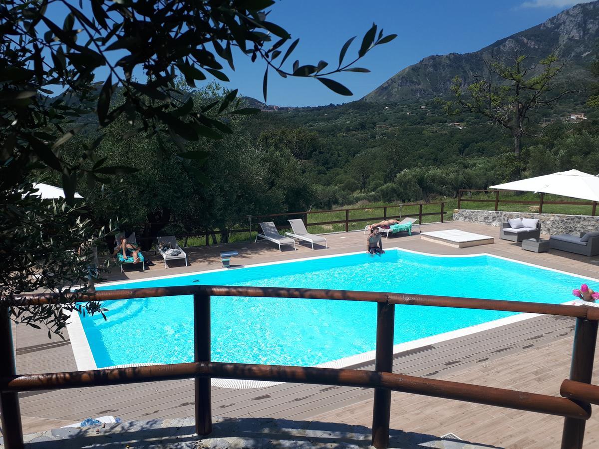Tenuta Terre Di Bosco Oasi Di Relax Nel Cilento San Giovanni a Piro Exterior foto
